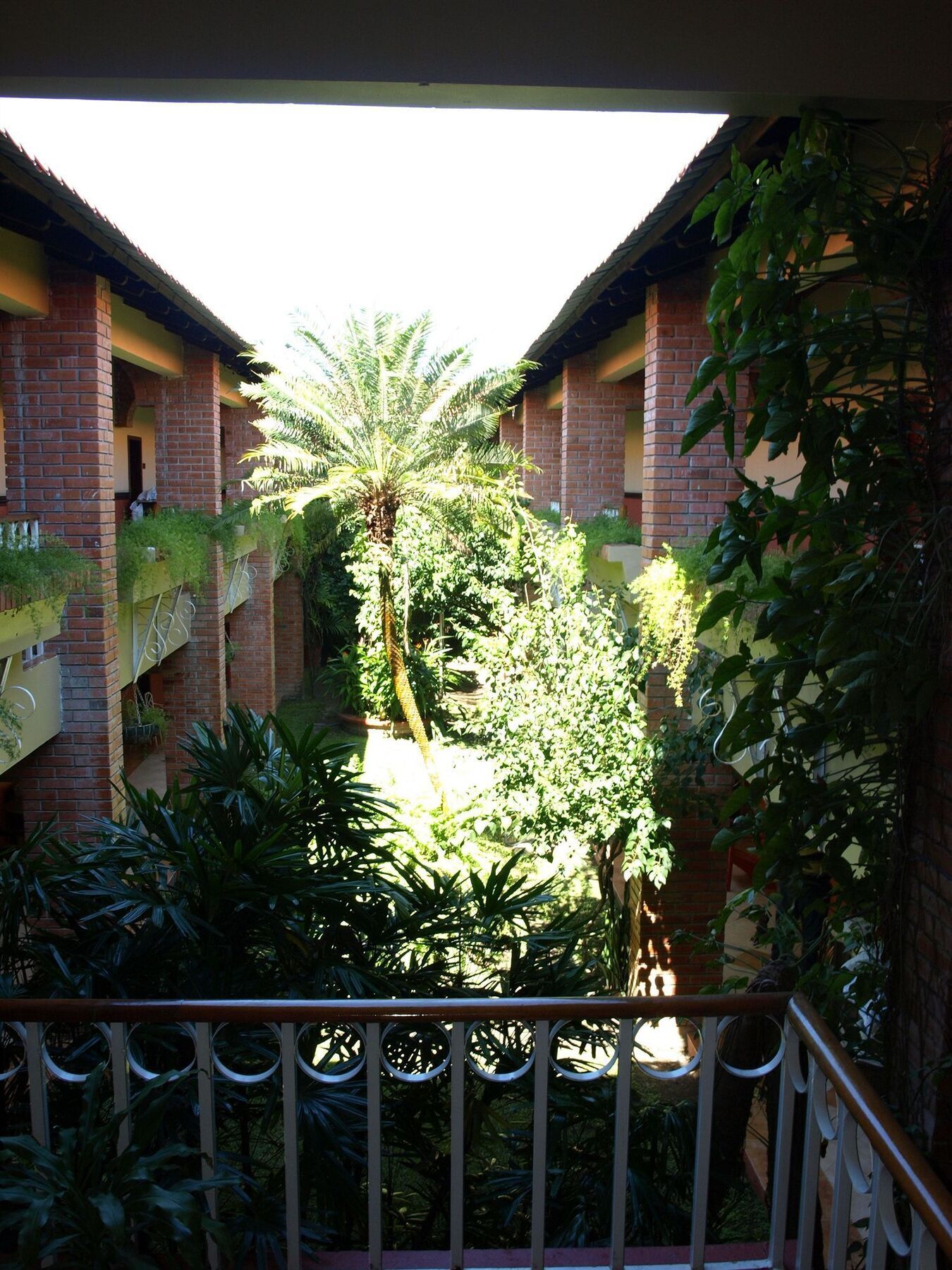 Hotel La Quinta ラ・セイバ エクステリア 写真